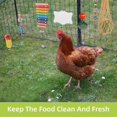 thumbnail image 4 of Chicken Toys for Coop 7PCS | Chicken Xylophone | Chicken Swing Set | Chicken Mirror Toy | Chicken Flexible Ladder | Chicken Vegetable String Bag and H, 4 of 5