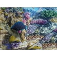 thumbnail image 4 of Ambesonne Fish Quilted Bedspread Set 3 Pcs, Ocean Corals Goldfish, Queen Size, Turquoise, 4 of 5