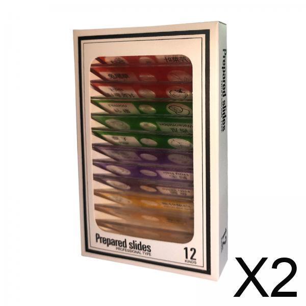 2x12 Piezas Niños Preparados Portaobjetos Para Microscopio Suministros De Laboratorio Ciencia Niños