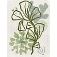 thumbnail image 2 of Vess, June Erica 25x32 White Modern Wood Framed Museum Art Print Titled - Coral Blockprint III, 2 of 4