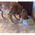 thumbnail image 2 of DekoRRa Products 130-RB Dog Dish - Planter Rock - Riverbed, 2 of 4