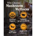 thumbnail image 4 of Suplemento Herb Pharm Mushroom Wellness Cordyceps Blend, 4 of 6