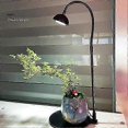 thumbnail image 2 of Micro Landscape Plant Growth Lamp with Timmer Height Adjustable Flicker Free Sunlight-like Spectrum Indoor LED Plant Lamp, 2 of 5