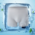 thumbnail image 4 of sunsanly Men Panties Thin Breathable Trace-less Detailed Raised Bag Protective Nylon Ice Silk Men Underwear Men Accessory, 4 of 7