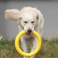 thumbnail image 3 of Pelota De Juguete Para Mascotas Eva, Pelota Flotante Para Entrenamiento De Perros, Anillo De Tracción Para Perros, Pelota Molar Resistente A Mordeduras Para Mascotas, Pelota De Juguete Para Mascotas Methold PT001585-02, 3 of 5