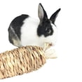 thumbnail image 4 of Rabbit Chew Toy Woven Bite Proof Carrot Shape Bunny Grass Toy Rabbit Molar Toy, 4 of 10