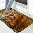 thumbnail image 4 of Qinduosi Orange Cat Portrait Doormat, Home Decor, Welcome Mat, Funny Doormat, Front Door Mat, Welcome Doormat,Indoor Doormat,Front Back Door Mat 19.68*47.24 in, 4 of 6