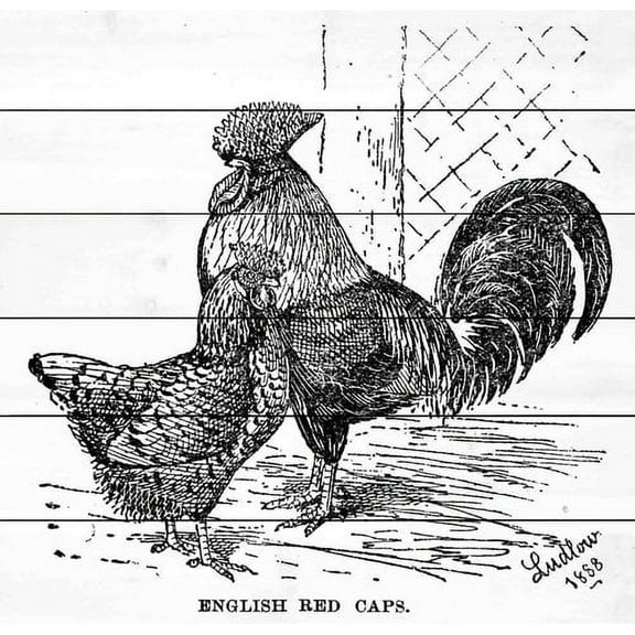 Marmont Hill "Red Caps" Painting Print on White Wood