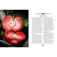 thumbnail image 5 of Tasting Cider - Paperback, 5 of 5