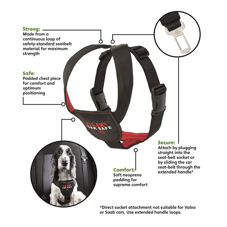 Carsafe Dog Car Harness - Company Of Animals US