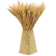thumbnail image 3 of Wheat Stalks, 100Pcs Natural Ear of Wheat Grain Flowers for, 3 of 8