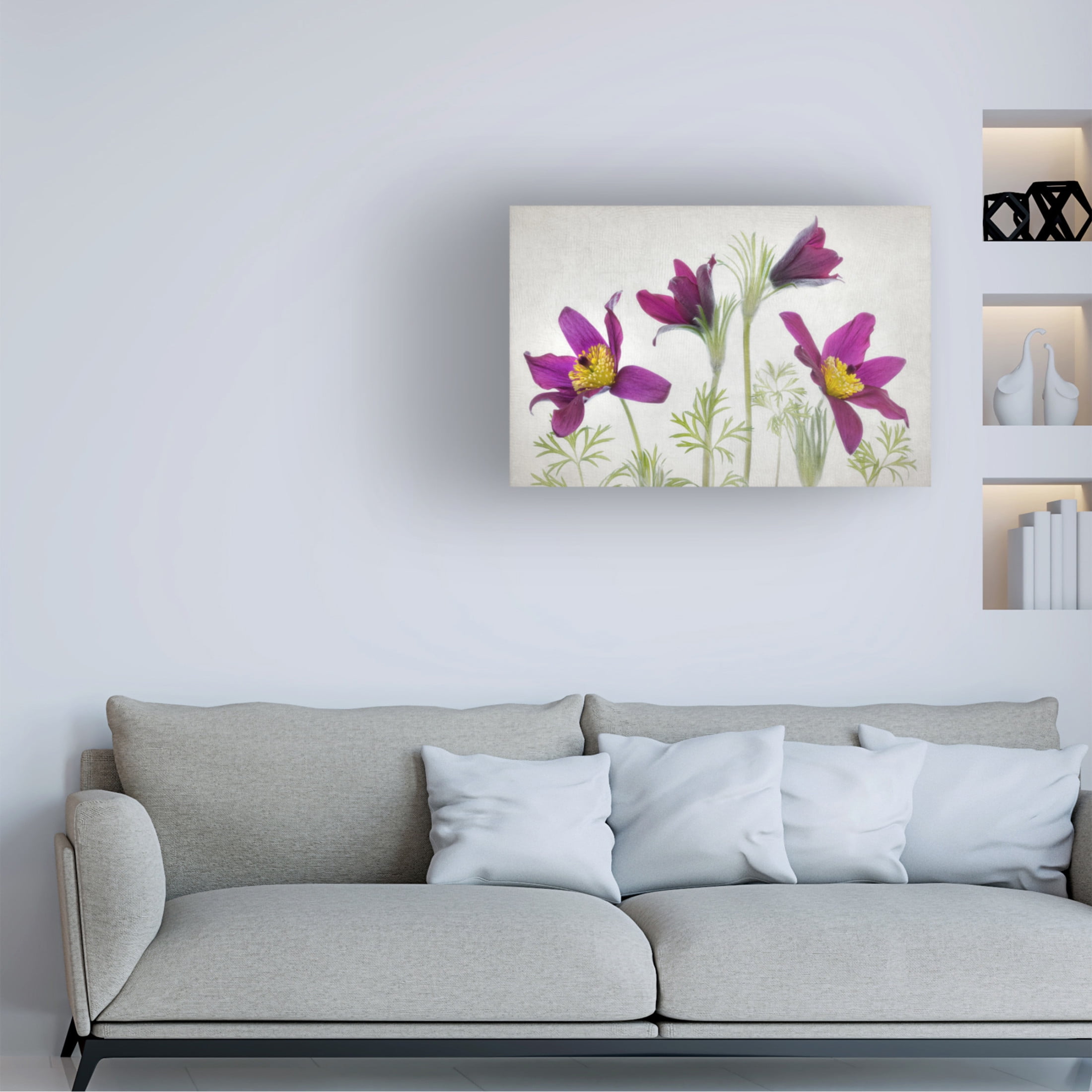 Canvas Wall Art - Mandy Disher 'Pulsatilla' Wall Art for Living Room, Bedroom, or Office Décor by Trademark Fine Art - 19 x 12 Inches