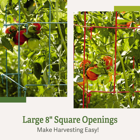 Tomato Towers Set of 2