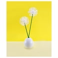 thumbnail image 3 of Paquete familiar de bastoncillos Q-tips de algodón, 2 x 500, 3 of 4