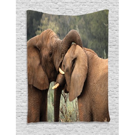 - Safari Decor Wall Hanging Tapestry, Two Wild Savanna Elephants Wrestling Cute Nature Icons South African Animals Game Photo, Bedroom Living Room Dorm Accessories, By Ambesonne