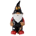 thumbnail image 1 of Chicago Blackhawks 2008 Team Gnome, 1 of 1