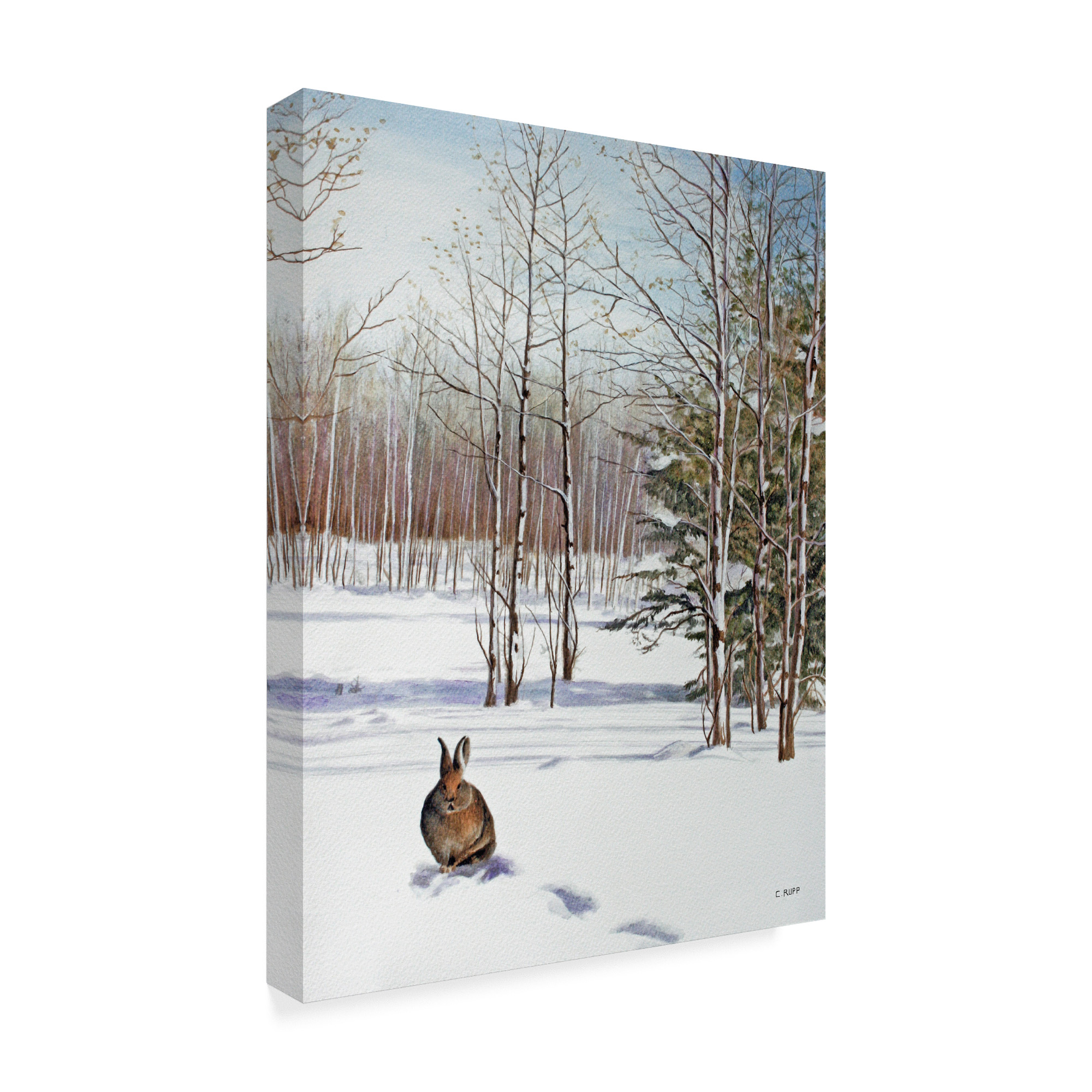 Trademark Fine Art 'Winter Rabbit' Canvas Art by Carol J Rupp