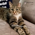 thumbnail image 2 of Warren London 7" Copper Pet Tail Comb - Precision Grooming Tool for Styling and Sectioning, 2 of 11