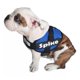 thumbnail image 1 of Pechera Personalizada Bulldog Ingles, 1 of 5