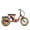 Red, variant on ADDMOTOR Electric Trike for Adults, 750W Rear Drive Electric Tricycle, 85MI 48V 20AH 20'' Dual Suspension Etrike, SOLETRI M-366X Banana Seat 3 Wheel Electric Bike for Seniors with Differential