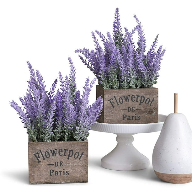 The Benefits of Adding Lavender Plant Decor to Your Space