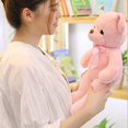 thumbnail image 4 of 30cm/11.81in Bear Plush Toy Animal for Doll Plush Gift Cute Cartoon Interactive Toy Infant Gift for Baby Sleeping Toys, 4 of 4