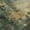 Fern, variant on Addison Rugs Mayfield Premium Machine Washable Transitional Abstract Fern Rectangle Rug, 10' x 14'