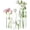 4 Pack(4,6,8,10 Inch ), variant on PETGLE Glass Cylinder Vase Sets 16 Pack Tall Clear Flower Vase Hurricane Floating Candle Holder for Table Centerpiece Wedding Home Décor(2.17 x 4IN + 2.56 x 6IN + 3.15 x 8IN + 3.55 x 10IN)