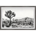 thumbnail image 2 of Marmont Hill Joshua Tree National Park Framed Wall Art, 8" x 12", 2 of 5