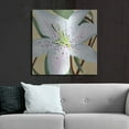 thumbnail image 6 of Luxe Metal Art 'White Lily II' by Annie Warren, Metal Wall Art, 36"x36", 6 of 9