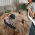 thumbnail image 3 of Golden Retriever anti-pilling, suave, ligera, esponjosa y acogedora de lujo para hogar y cocina – Perfecta para niños y adultos, 100 x 150 cm, 3 of 6