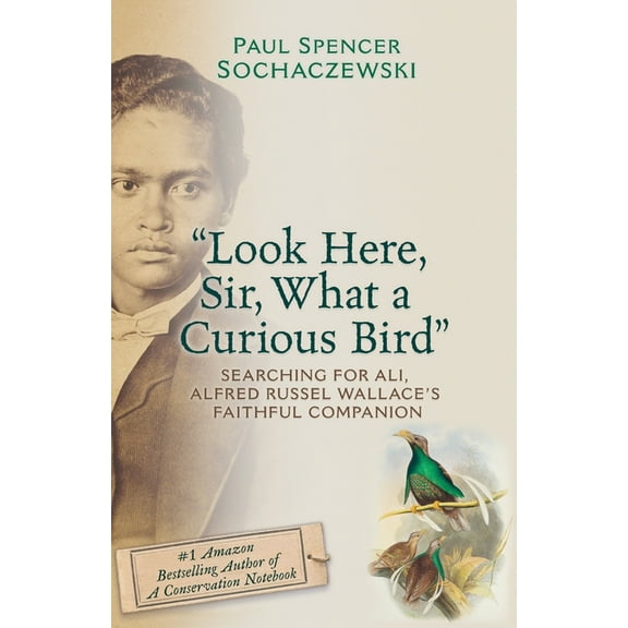"Look Here, Sir, What a Curious Bird": Searching for Ali, Alfred Russel Wallace's Faithful Companion, (Paperback)