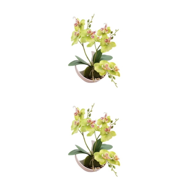 Orquídea de imitación Flor artificial Injueey Decoración de jardín Multicolor Maceta de cerámica