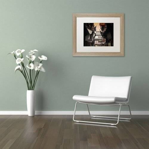 Trademark Fine Art "Yuyuan Garden" Canvas Art by Philippe Hugonnard, White Matte, Birch Frame