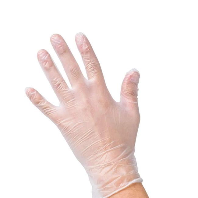 Royal Union 6018357 Powder Free Disposable Vl Glove, Clear - Large
