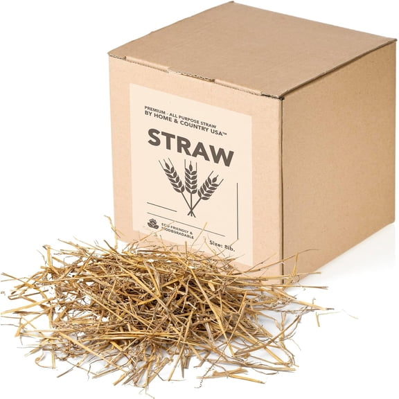 Premium Garden Straw (4 LBS) - Straw Mulch That is Designed for Use in Compost Beds, Gardens, Pet Bedding, Lawns and Much More. by Home and Country USA