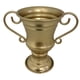 thumbnail image 3 of Maceta de hierro creativa con forma de trofeo retro, contenedor decorativo de metal para plantas. Oro, 3 of 8