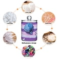 thumbnail image 4 of Blue Shells Starfishes on Purple Stripes Translucent Plastic Cans Storage Canisters with Lid Set of 4, 4 of 7