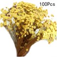 thumbnail image 4 of OHOIOLLA 5Pack Dried Mini Flower Dried Star Daisy 47In, 4 of 8