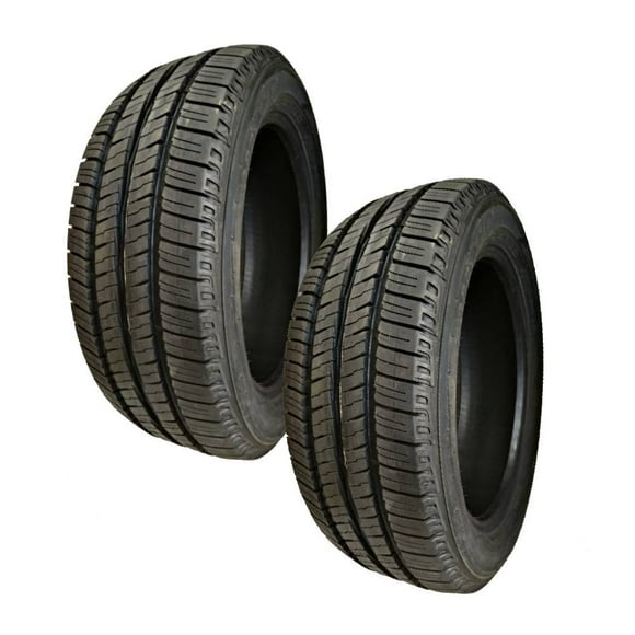 Paquete de 2 llantas 225/55R18