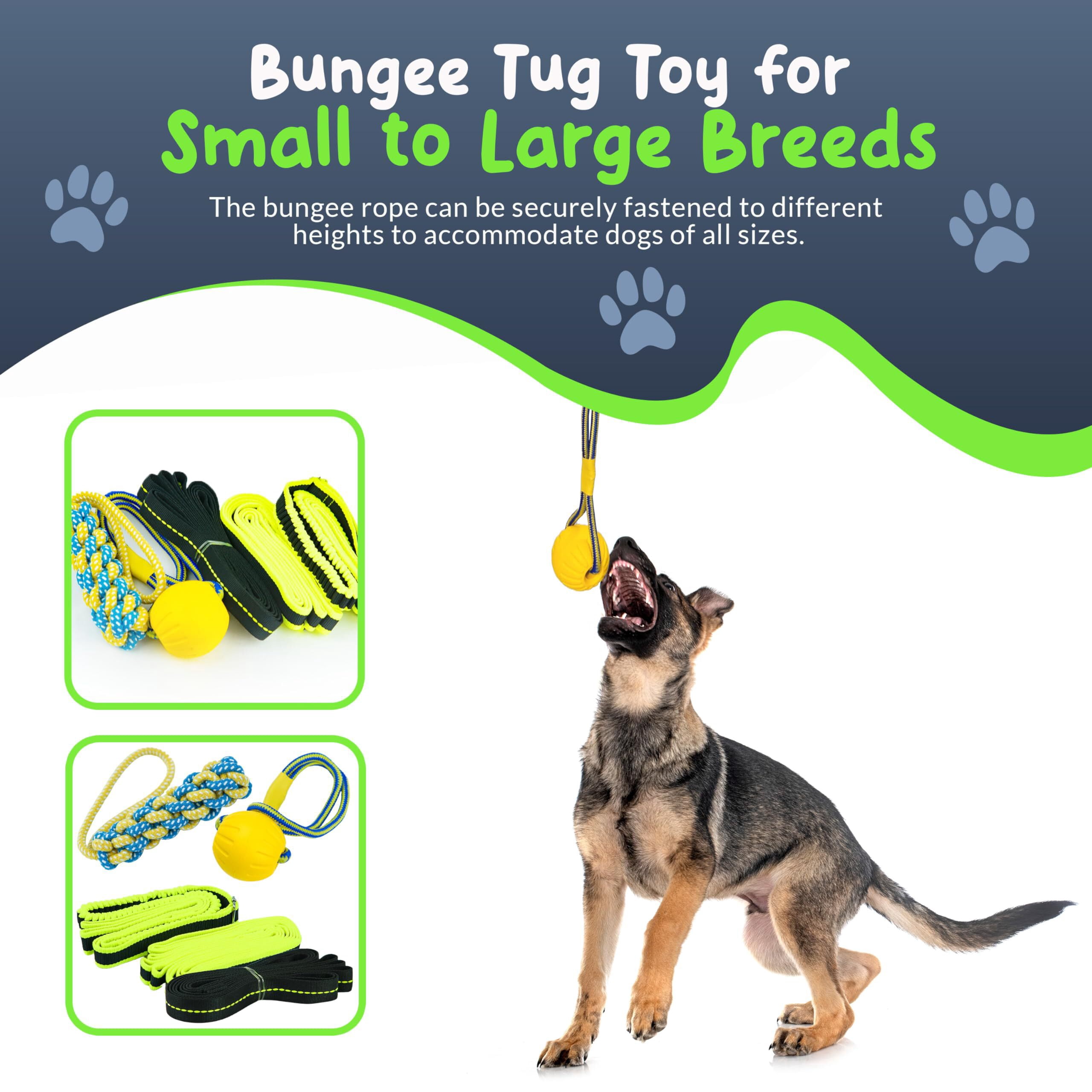 Petite Paws Tree Rope Toy for Dogs — Bungee Tug War Toy for Outdoor Exercise & Play