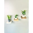 thumbnail image 4 of Mini Floating Shelf - Set of Three (3) - Small Floating Shelves Small Minimalist Shelf Minimalist Modern Wood Shelf Modern Wood Shelf Minimalist Shelving - Golden Oak, 4 of 7