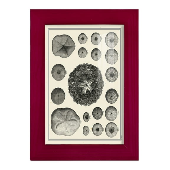 Aegean Collection I -Framed Print w/glass-Cherry Red
