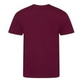 thumbnail image 2 of Ecologie Mens Cascades T-Shirt, 2 of 3