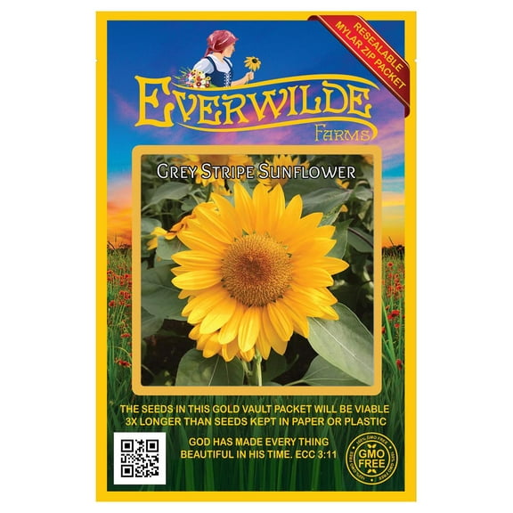 Everwilde Farms - 25 Grey Stripe Sunflower Wildflower Seeds - Gold Vault Seed Packet