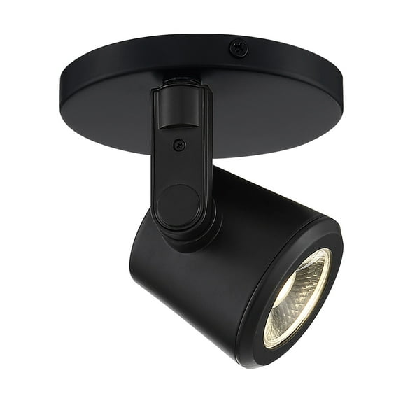 1 - Light Black Flush Mount Light