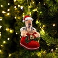 thumbnail image 1 of Riforla Santa Boot Christmas Dog Acrylic Ornament Christmas Dogs Ornament Christmas Stocking Animal Ornament Christmas Ornament Christmas Decoration Hangs Home Decor B, 1 of 6