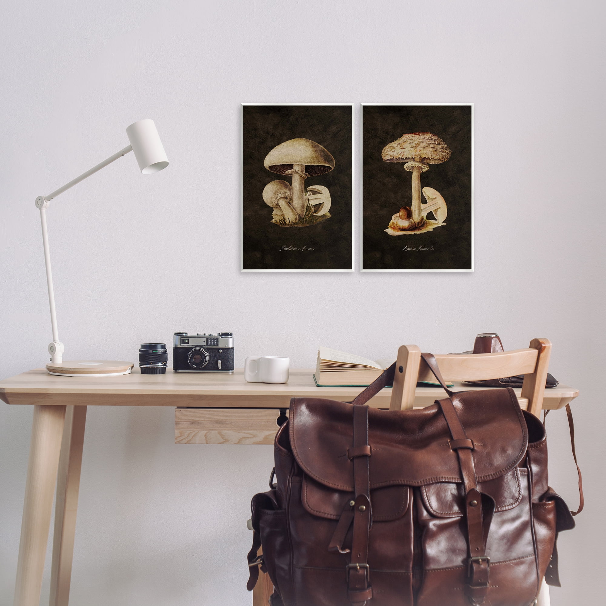 Stupell Industries Vintage Mushrooms on Black Plants & Flowers Painting Unframed Art Print Wall Art, 10 x 15, Set of 2
