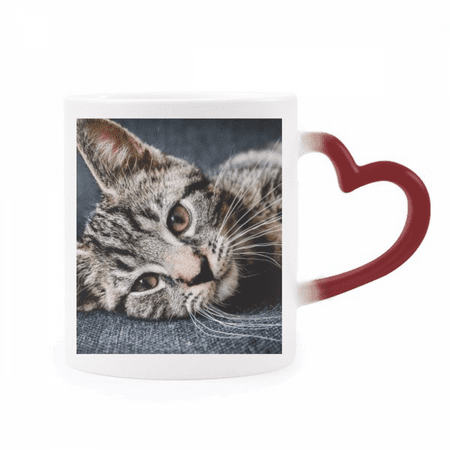 

Cat Stripes Kitty Animal Relax Adorable Heat Sensitive Mug Red Color Changing Stoneware Cup
