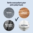 thumbnail image 3 of Sunny & Honey Pet Stain and Odor Remover - Enzyme Cleaner for Dog Urine and Poop on Carpets and Furniture - Strong Pet Carpet Cleaner Spray (32fl oz Lavender), 3 of 10